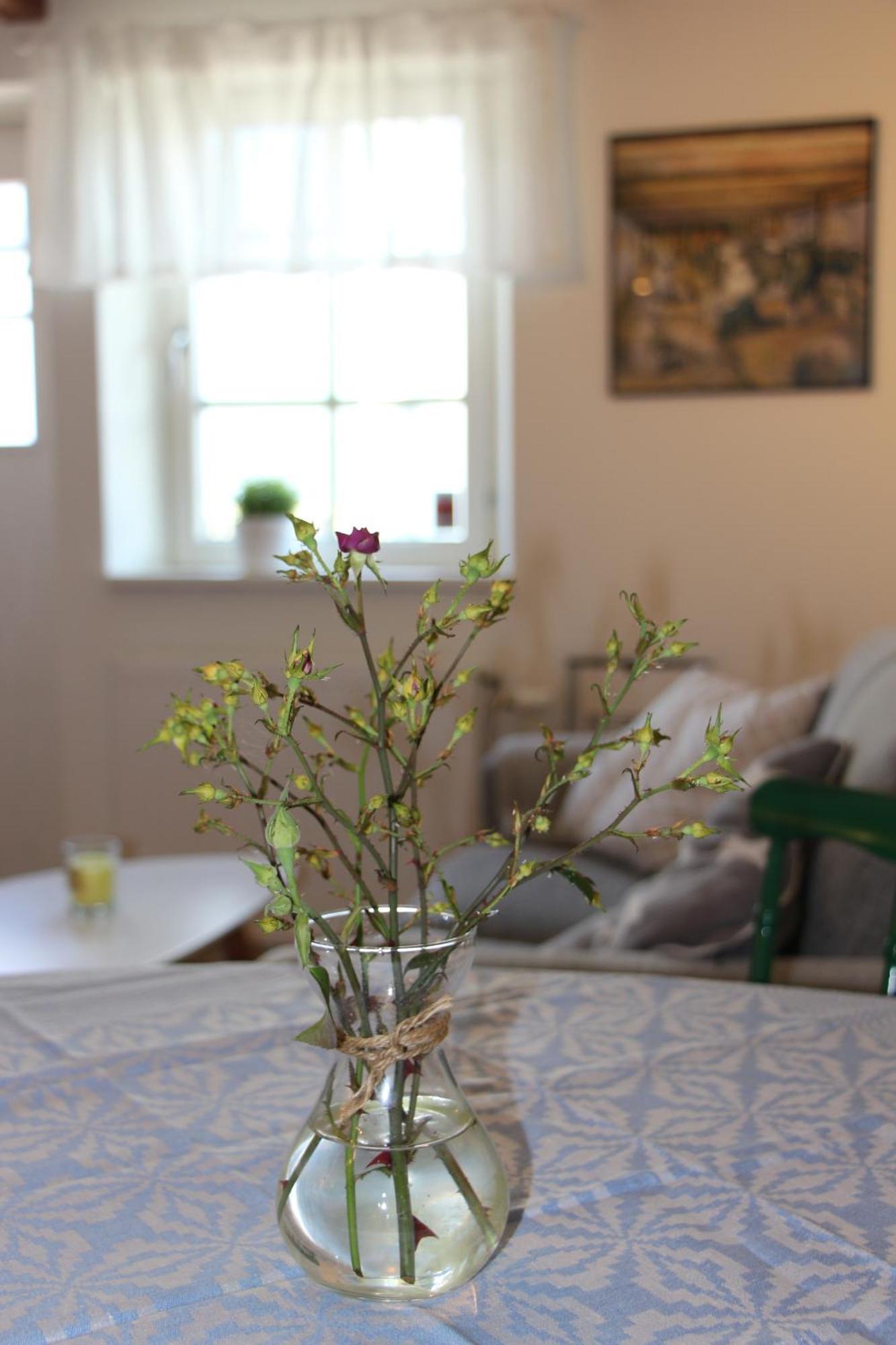 Bjerred B&B Bjarred Luaran gambar