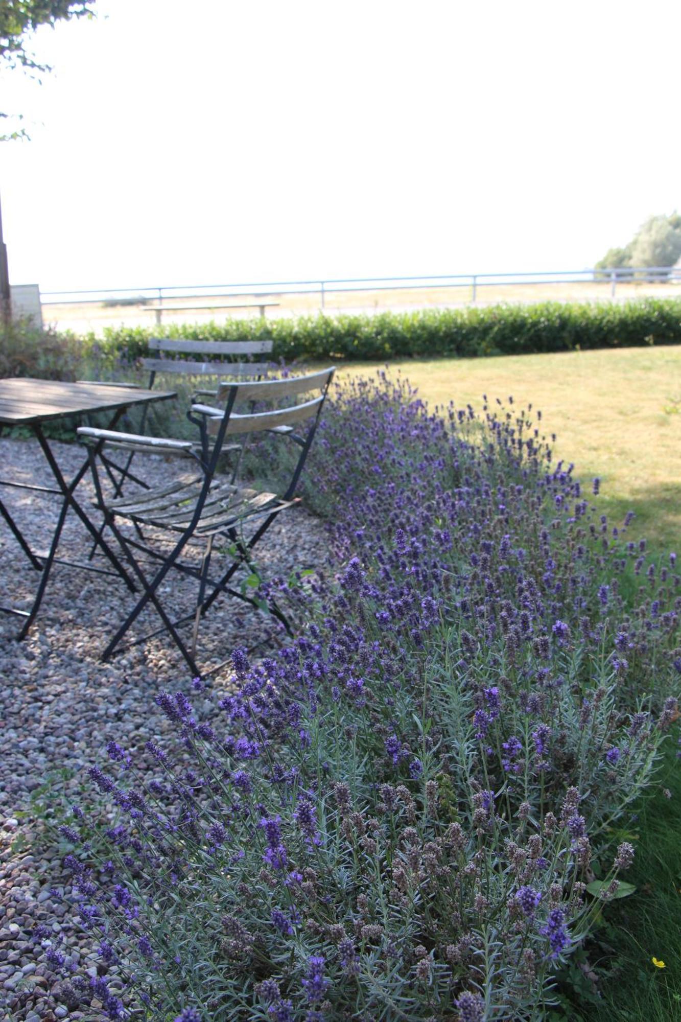 Bjerred B&B Bjarred Luaran gambar