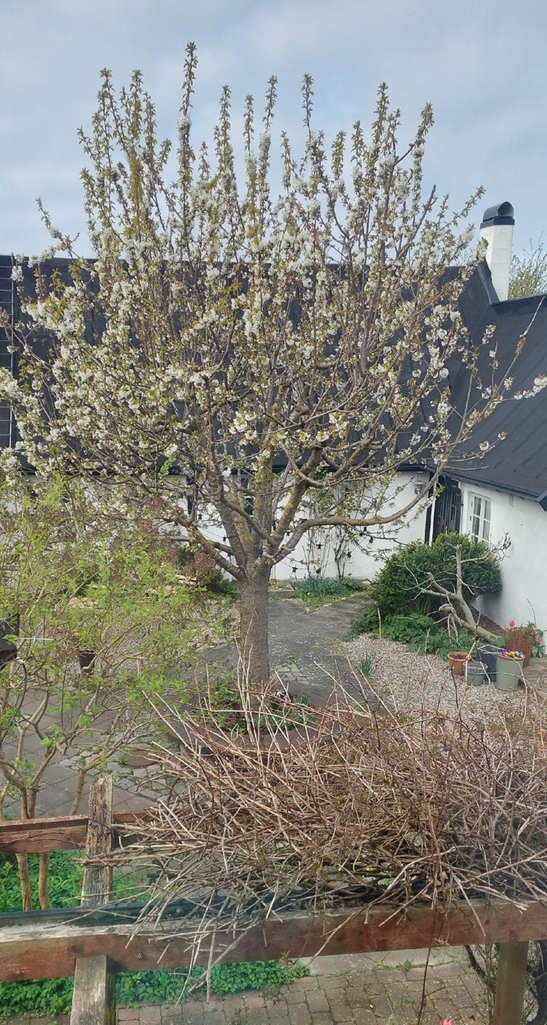 Bjerred B&B Bjarred Luaran gambar