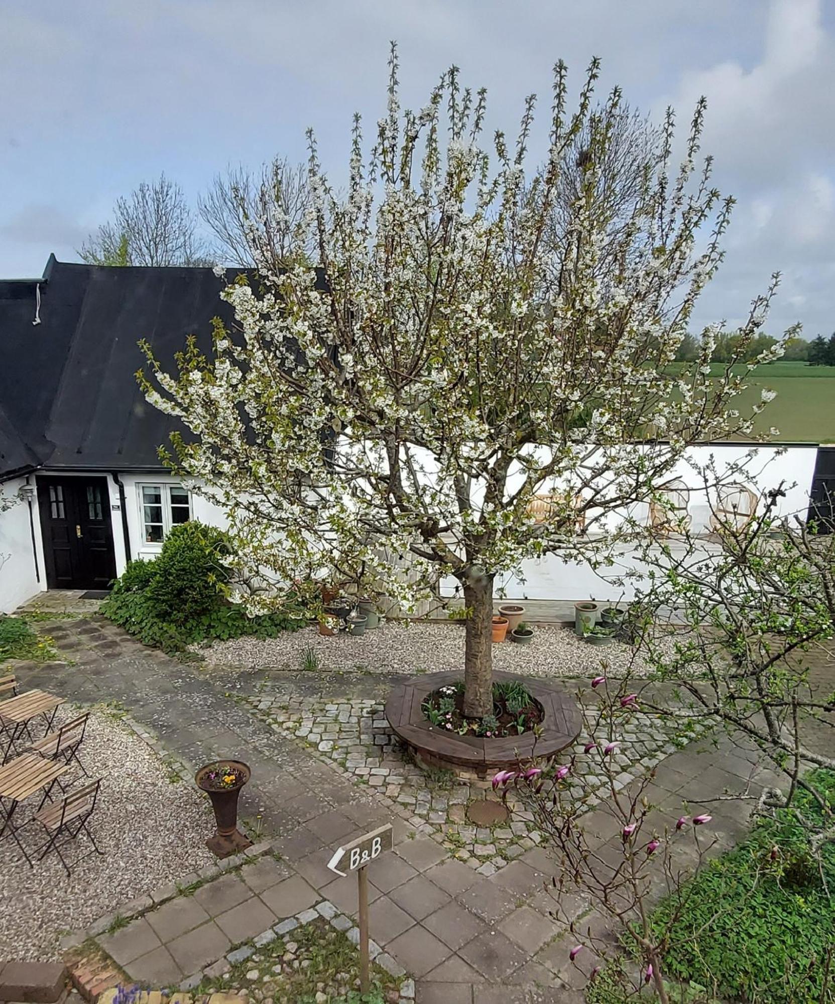 Bjerred B&B Bjarred Luaran gambar